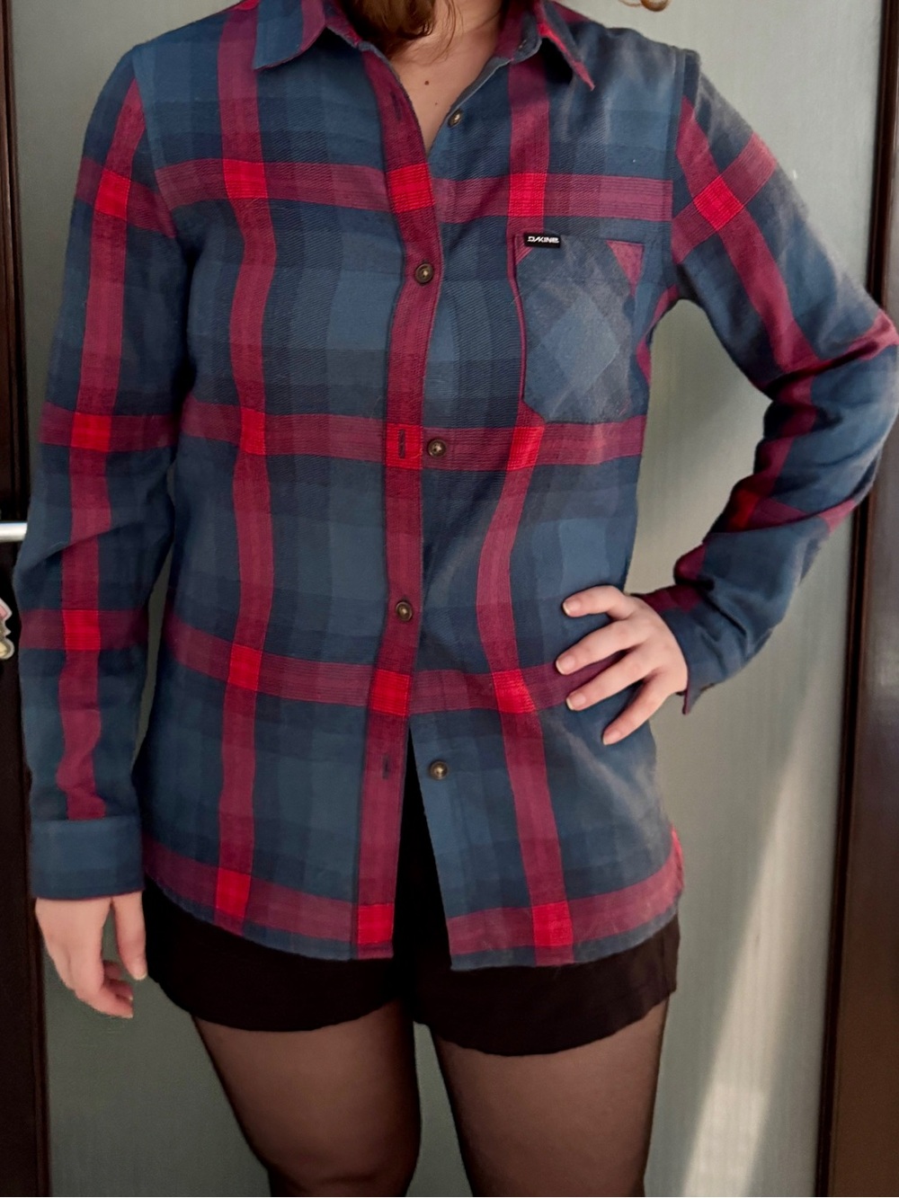Dakine Navy and Red Plaid Button-Down Shirt